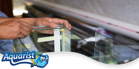 Saltwater Aquarium: Expert Advice on Saltwater Fish & Corals - Saltwater Aquarium Diy Project First Time Buyer