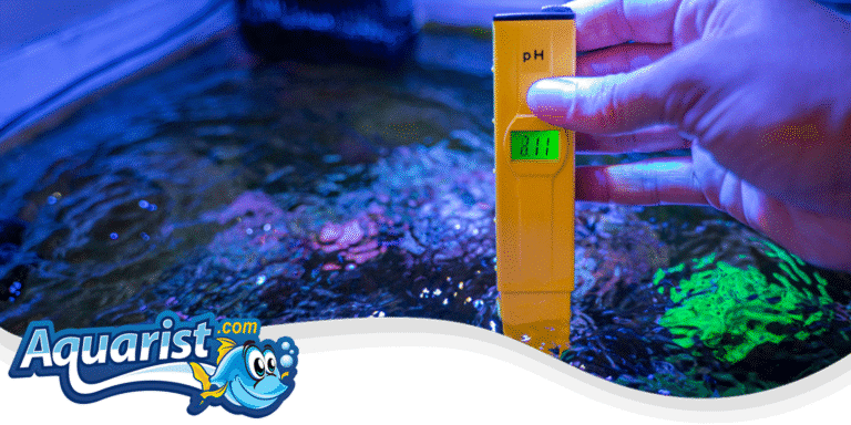 Testing reef aquarium water with a digital meter