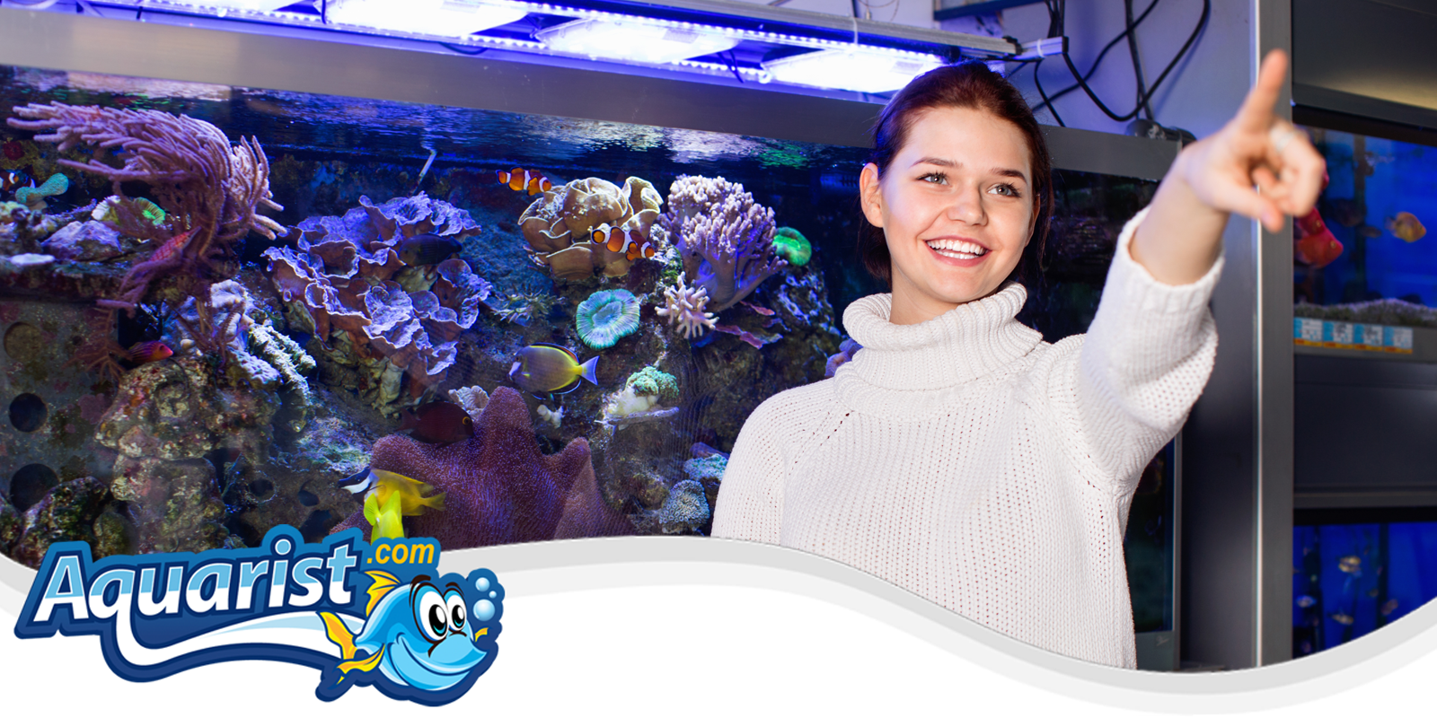 Saltwater Aquarium Saltwater Aquarium