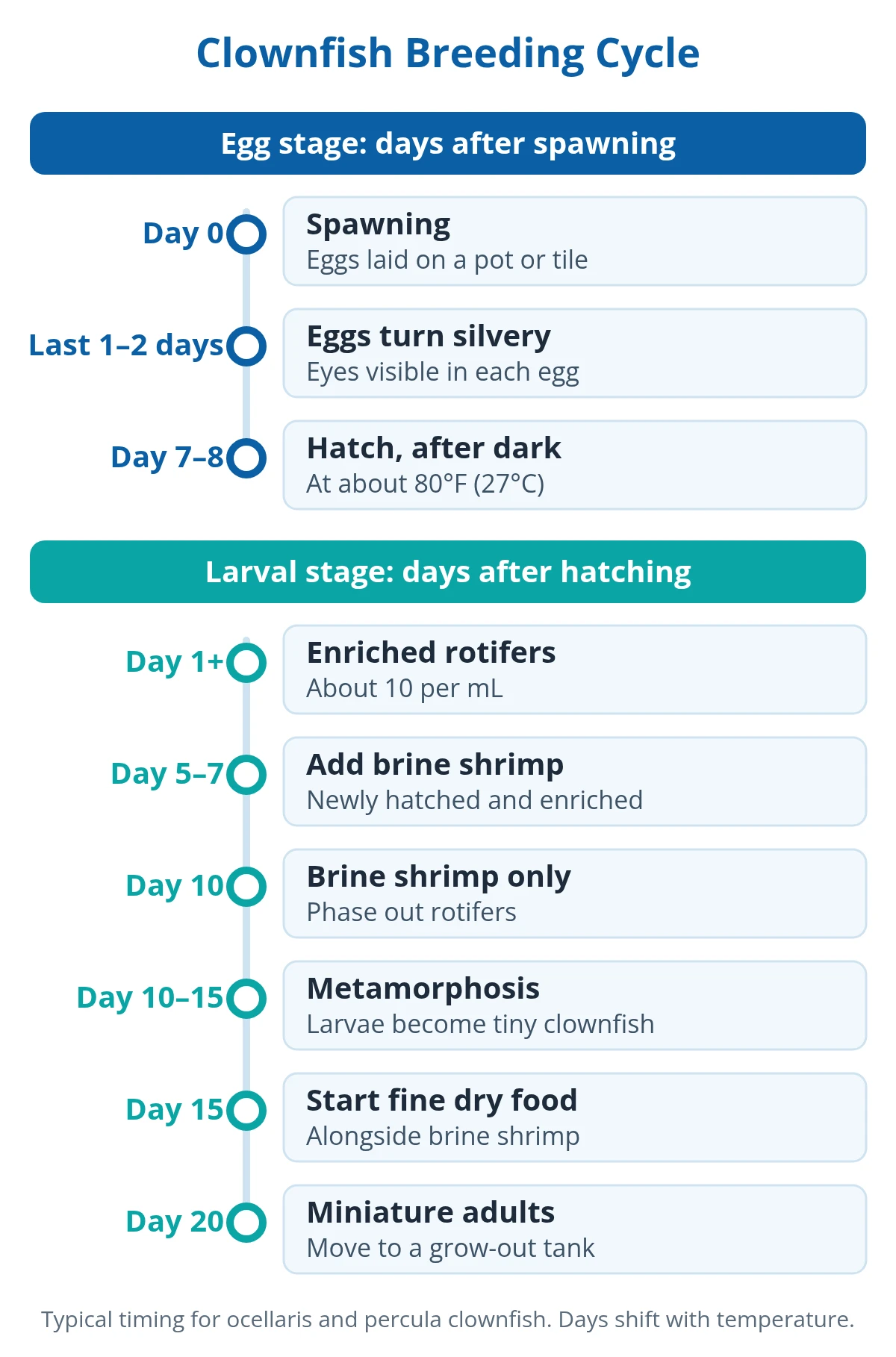 Clownfish breeding cycle from spawning to juvenile, with typical days for each stage