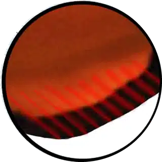Fin Hemorrhaging close-up