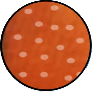 White Spot (Ich / Cryptocaryon) close-up